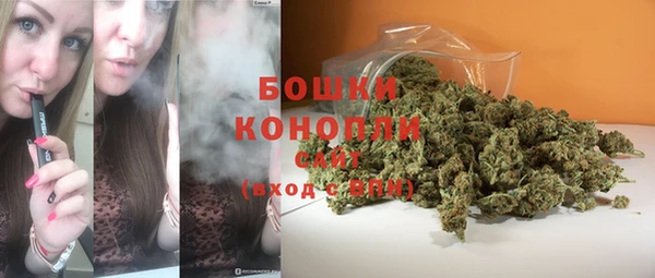 спиды Новозыбков