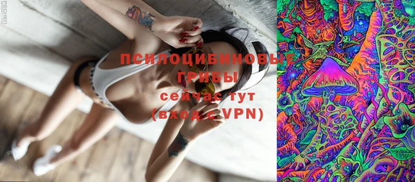 таблы Новокубанск