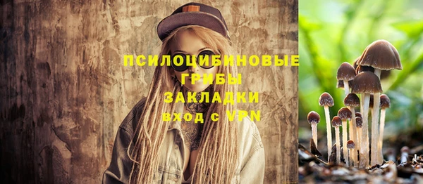 таблы Новокубанск