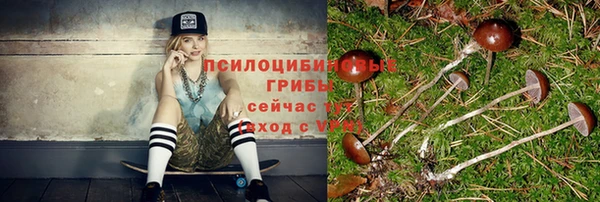 мдма Новодвинск