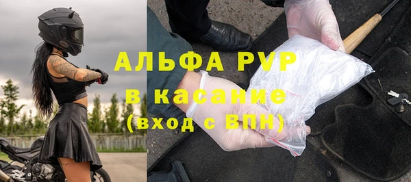 спиды Новозыбков